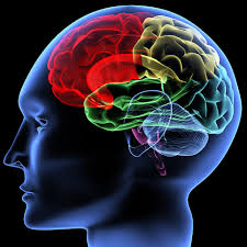 brain-tumor-los-angeles-DUI-defense