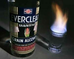 everclear-dui-los-angeles