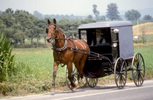 Pennsylvania, Lancaster County, Amish Horse And Buggy. (Photo by Education Images/UIG via Getty Images)